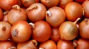 ������ ��� ����� �� 20 ����, ������ �� 5 �. - ����������