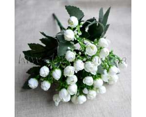 ������ ��� ������