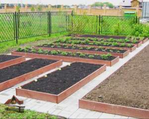 ������ ��� ������, ������ ������, �����, �����