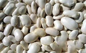 ������ ��� ������� �� ��������� - ����������