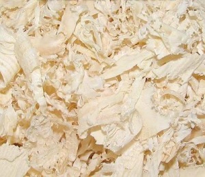 ������ ��� ��������