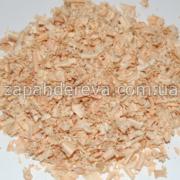 ������ ��� ��������