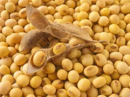 ������ ���. �������� � ����, �����������, ��������� - ����������