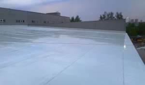 ������ ��� ��������, ��� �������� � ������ ���� - ����������