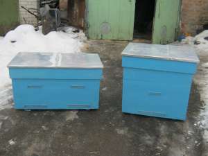 ������ ���� - ����������