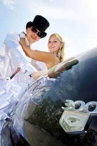 ������ ����