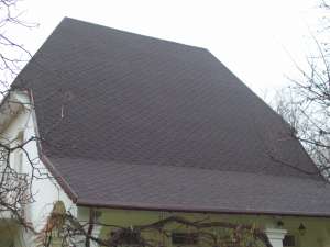 ������ ����