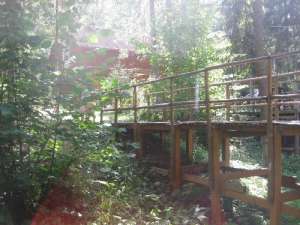 ������ ����