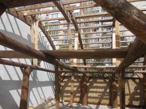 ������ ����