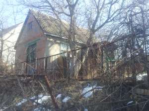 ������ ����