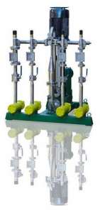 ������ ����