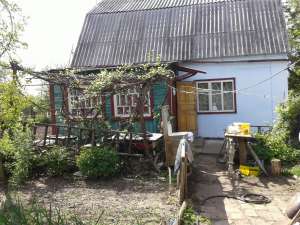 ������ ����