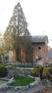 ������ ���� � �. ������������ - ����������