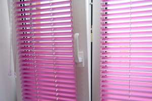 ������ ���� � �������