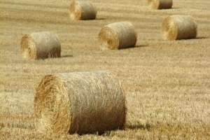 ������ ���� � ������� �������� ������� 900 ���.-1 �����