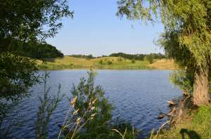 ������ ���� � �������� �������