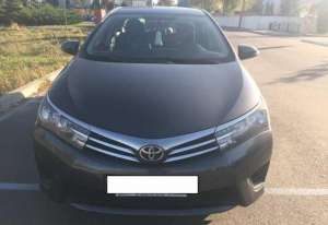 ������ ���� �OROLLA - ����������