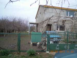 ������ ���� �� '��������'