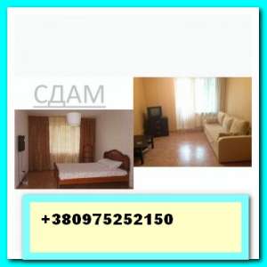 ������, ����. ���� ������������� ��������,������ �����,���������� - ����������