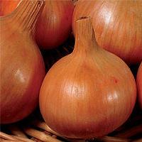 ������ ���� ������ (Legacy), 250.000 �����/��, (128- 135����), ���� 1640 ����� - ����������