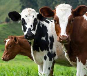 ������ ����, ������, �����, �����, ����� - ����������