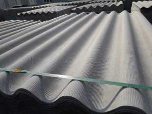 ������ ���� �������