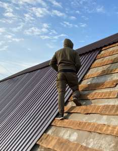 ������ ���� ������� - ����������