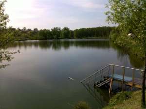 ������ ���� ������� � ������ 16 ���,�.���������� - ����������