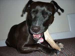 ������ ����- �������� ��������� ��� �����! - ����������