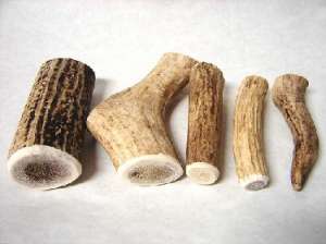 ������ ����- �������� ��������� ��� �����!