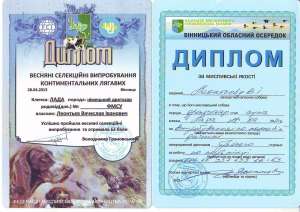 ������ ���� ���������