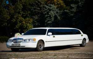 ������ ���� / ��������� � ������