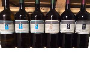 ������ ���� ��������� ������� .������� ����������. ��������� ��������, �������, ����� ����. - ����������