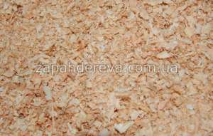 ������ ���� �������������