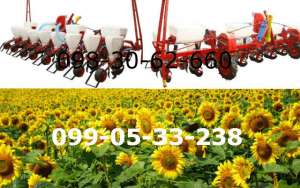 ������ ����-8. ������: ������ ����-8 - ����������