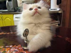 ������ ����� 3 ������ - ����������