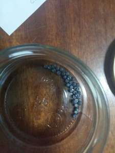 ������ ����� 74 ����������