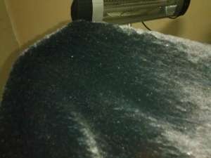 ������ �����