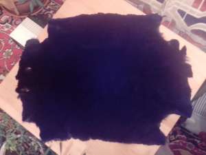 ������ �����