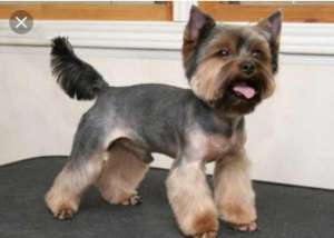 ������ ����� � ����� � ������� �� ��� - ����������