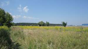 ������ ����� � ��������.