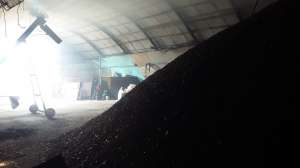 ������ ����� ���