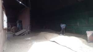 ������ ����� ���