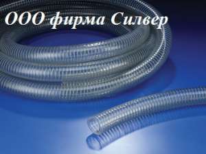 ������ ����� ���