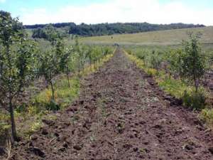 ������ ����� ��� �������������� ��� 3,5��.