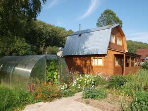 ������ ����� ���� 50 �� � �� ������� 5 ��� - ����������