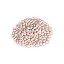 ������ ����� ���� ����� ������ ��� ������������� - ����������