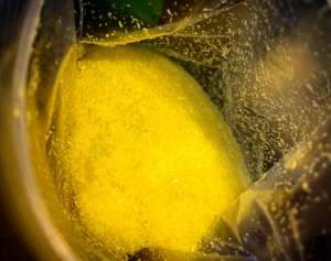 ������ ����� ���� (������) - ����������