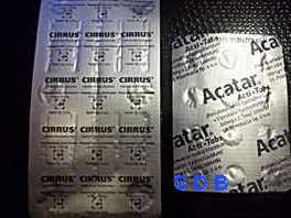 ������ ����� ����� ����� ������ - ����������