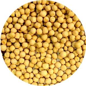 ������, ����� ����� �����. ��������� - ����������